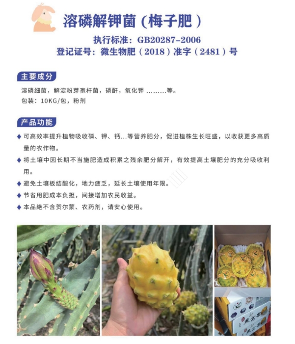 溶磷解钾菌（梅子肥）
